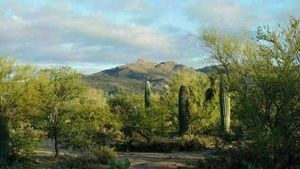 Tortolita Preserve Nature Trek