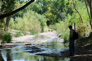 All About Autumn Hike  – Cienega Creek Natural Preserve