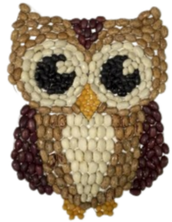 Crafting with Kara: Bean Mosaics