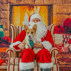 Pet Photos with Santa