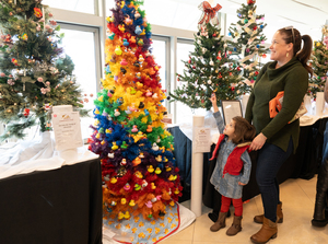 Ann's Place Festival of Trees