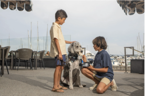 Sally's Paws on the Patio - Spooky Edition!