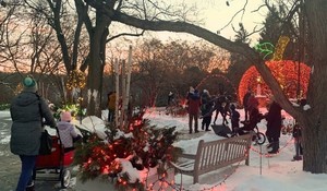 Winter Lights - Family Nights