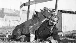 WHISKEY & WARRIORS AT CANTIGNY - OCTOBER 23
