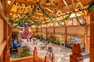 New Years Eve at the Arb