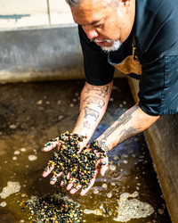 Dia de los Muertos Dinner with Chef Paul Morales