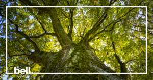 Spotlight Science: Climate Action and YOU!