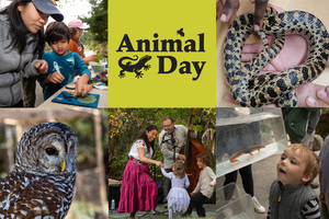 Animal Day