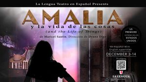 AMALIA [and the Life of Things] by Maricel Santin - US Premiere