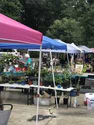 Fun Fall Flea Market.Arts & Crafts Fair (8717 Fort Hunt Road, Alexandria)