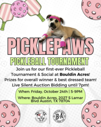 PicklePaws: Pickleball Tournament and Social to Benefit Love-A-Bull