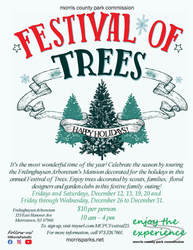 Festival of Trees in the Mansion