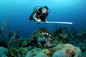 Conservation Speaker Series with Dr. Stephanie Green