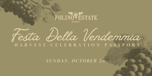 Festa Della Vendemmia