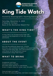 King Tide Watch