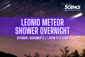 Leonid Meteor Shower Overnight