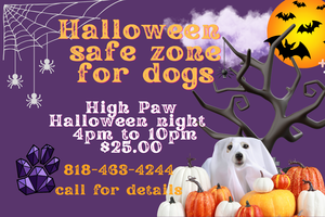 Halloween Safe Zone for dogs