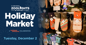 Holiday Market: A Nowhere Collective Collaboration at Lincoln Park Zoo