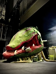 Little Shop of Horrors