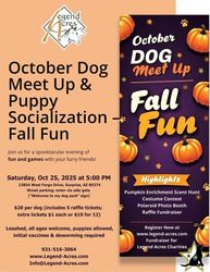 🎃🐾 Pumpkin Pup Social & Scent Hunt – Service Dog Fundraiser! 🐾🎃