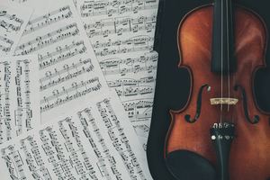 Friends of Music Concerts