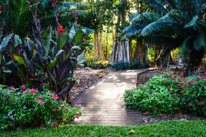 ACE - Online: Florida Landscaping for Homeowners (non-refundable)