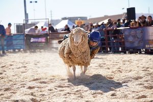 Arizona National Livestock Show