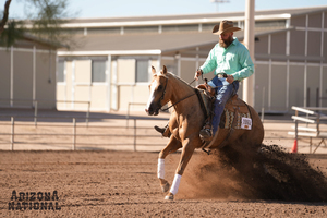 Arizona National Horse Show