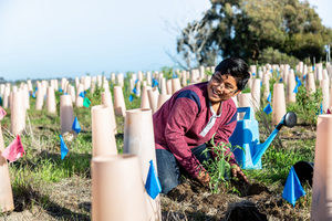 Nature Collective Holds Volunteer Restoration Event