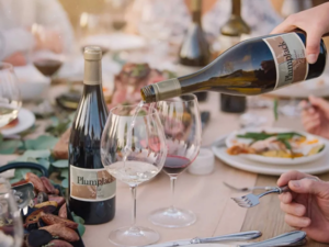 PlumpJack Collection of Wineries Wine Reception at Fia Restaurant