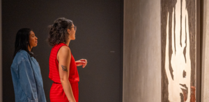 Free Night at the Museums