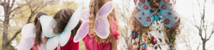 Girl Scout Fairy Party