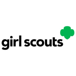 Girl Scout Fairy Party