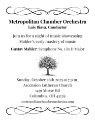 Metropolitan Chamber Orchestra