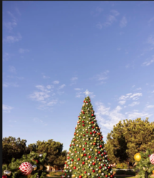 Annual Tree Lighting Ceremony at Fairmont Grand Del Mar