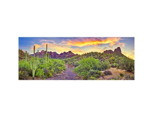 The Future is Now: Advances in Hematology and Oncology Critical Care 2026