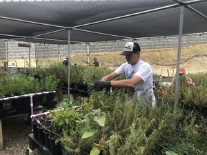 Nature Collective Holds Volunteer Restoration Event