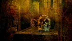 Spooky Days on the Farm - A Lantern Guided Murder Mystery