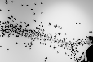 I AM A MULTITUDE Opening Reception