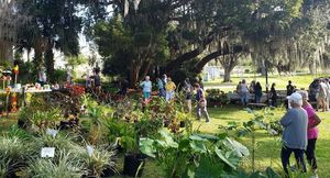 Plant Sale by Clermont Garden Club, Nov 15