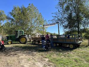 Puppies at the Patch!