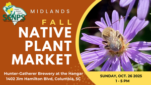 Midlands Fall Native Plant Market