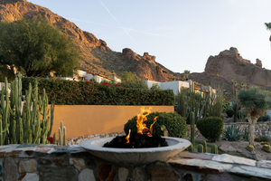 Celestial Supper: A Stargazing Experience