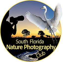 South Florida Nature Photography Club Competition Judging Projected Images 7pm 11/18/25