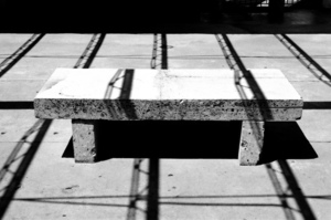 Window Dressing XLIX + Soundscapes Sean Michael Gaulager: Sub Anima