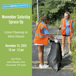 November Saturday Spruce Up 2025