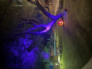 Spooky Splash at Starr Pass