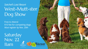 West-MUTT-ster Dog Show