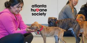 Puppy Yoga at Atlanta Humane Society