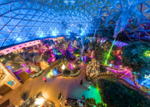 Dome for the Holidays